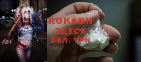 mix Белокуриха