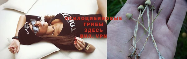 mix Белокуриха