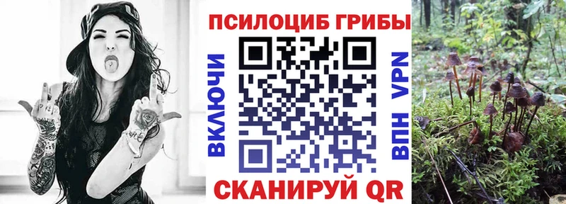 цены   даркнет клад  Галлюциногенные грибы Psilocybe  Богородицк 